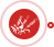 1508724700254188 1508724700254188